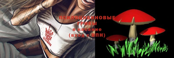 2c-b Гусь-Хрустальный