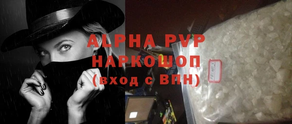прущие грибы Гусиноозёрск