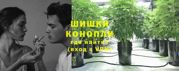 дживик Гусев