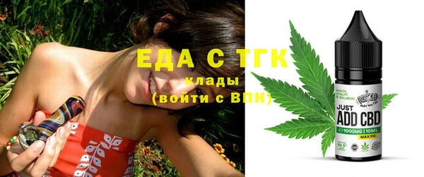 прущие грибы Гусиноозёрск