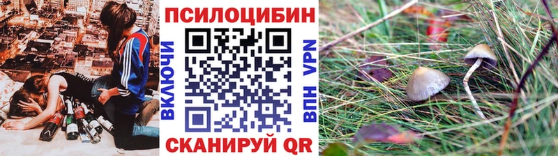 mega маркетплейс  Чкаловск  Псилоцибиновые грибы прущие грибы 